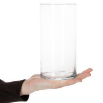 položky Vysoká skleněná váza, jednoduchý skleněný válec jako květinová váza nebo dekorativní sklo, 20 cm