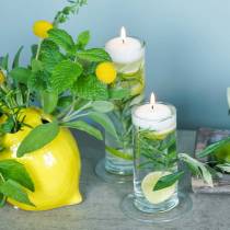 položky Skleněná váza s podstavcem, čirá, Ø6cm, V25cm