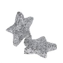 položky Třpytivá hvězda stříbrná Ø2,5cm 96 ks