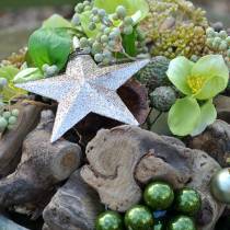 položky Glitter star champagne 9,5/5cm 18 ks