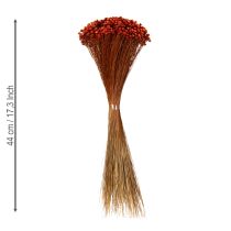 položky Kytice sušených květin, okouzlující doplněk do váz nebo aranžmá, 44 cm