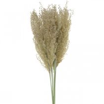 Sušená tráva okrasná tráva pro suchou floristickou dekoraci příroda V55cm