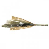 položky Sušené trávy v trsu Suchá floristika Suchá kytice V70cm