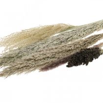 Sušené trávy v trsu Suchá floristika Suchá kytice V70cm