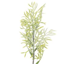 položky Okrasná větvička chřestu, přírodní doplněk do květinových kytic, 34 cm, 7 kusů
