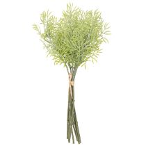 položky Okrasná větvička chřestu, přírodní doplněk do květinových kytic, 34 cm, 7 kusů