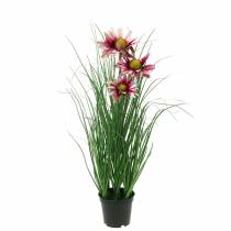 položky Umělá tráva s echinaceou v růžovém květináči 44 cm
