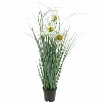 položky Umělá tráva s Echinaceou v bílém květináči 56cm
