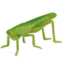 položky Kobylka zelená 11cm 1ks