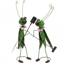 Zahradní figurka kobylky Kovová dekorace Cvrček s hráběmi a rýčem H33cm Sada 2 kusů