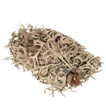 položky Dekorativní mech, šedý mech na tvoření, 500g