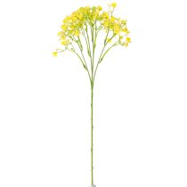 položky Gypsophila paniculate sádrovec bylina žluté květy L46cm 4 ks