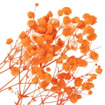 položky Kytice sušených květin Gypsophila s dětským dechem 75 cm 100 g