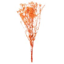 položky Kytice sušených květin Gypsophila s dětským dechem 75 cm 100 g