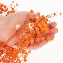 položky Kytice sušených květin Gypsophila s dětským dechem 75 cm 100 g