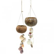 Kokosová miska se skořápkami, přírodní miska na rostliny, kokos jako závěsný košík Ø13,5/11,5cm, sada 2 ks