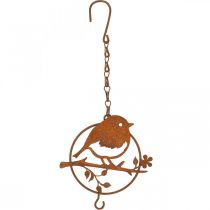 Kovový ptáček na zavěšení, krmné místo, ptáček s patinou háčku 11,5×13cm