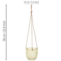 položky Závěsný skleněný květináč, dekorativní skleněný květináč, retro styl, zeleno-hnědý, 14,5 cm, 2 kusy