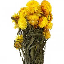 položky Slámově žluté sušené sušené květiny dekorativní kytice 75g