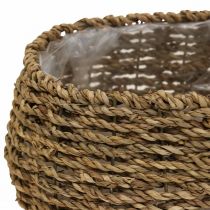 položky Koš na rostliny s rukojetí košík na květiny L23/35cm sada 2 ks