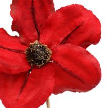 položky Dřevěná květina jako zátka červená Ø9cm - 12cm L45cm 15ks