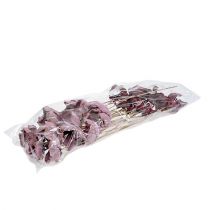 položky Dřevěná květina, mix palmových pohárků růžovo-erika 25 ks