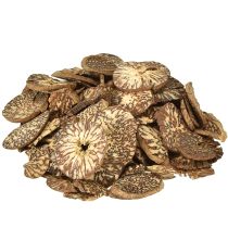 položky Dřevěné kotoučky dekorativní plátky betelových ořechů areca 1-3,5 cm 300 g