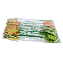 položky Dřevění motýlci na špejli, 3 barvy, 8cm, 24 kusů