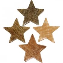 položky Dřevěné hvězdy rozptylová dekorace hvězda Vánoční příroda lesk V5cm 12 kusů