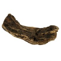 Kořen dřeva natur 6cm-13cm 500g