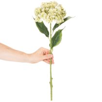 položky Umělý květ hortenzie s dlouhým stonkem a listy, 60 cm