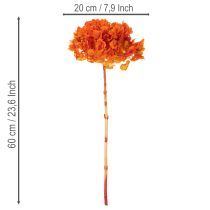 položky Hortenzie, konzervovaná a barvená, velký květ s dlouhým stonkem, 60 cm