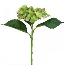 položky Umělá hortenzie, květinová dekorace, hedvábný květ zelený L44cm