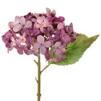 položky Umělé hortenzie Fialové umělé květiny Hortenzie 34 cm 2 ks