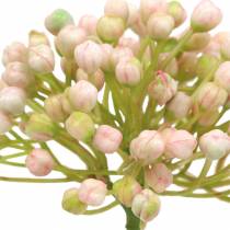 položky Hydrangea pupen pick 21cm pink 12 ks