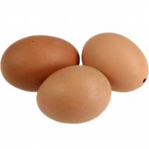Kuřecí vejce hnědá 10ks