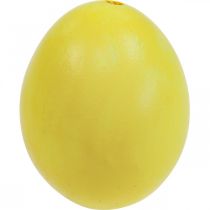 položky Velikonoční vajíčka Žlutá vyfouknutá vajíčka Kuřecí vajíčko 5,5cm 10ks