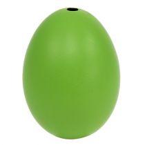 položky Slepičí vejce 5,5cm - 7cm Zelená 10ks