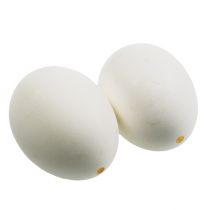 položky Slepičí vaječný bílek 10ks