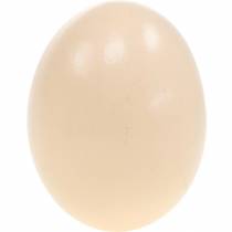 položky Krém z kuřecích vajec Velikonoční dekorace Vyfouknutá vajíčka 10ks