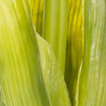 položky Hyacint Real-Touch Pink 40cm