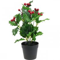 Cesmína v květináči umělé rostliny Ilex umělé 26cm