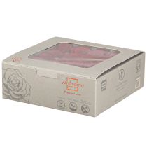 položky Mini růže Infinity Roses Real Flowers, červené, Ø3cm, 16 ks