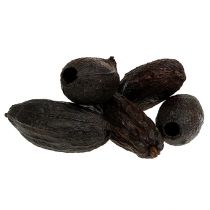 Kakaové lusky přírodní 10-18cm 15ks