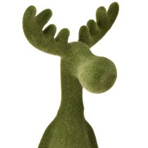 položky Dekorativní stolička s okrajem losa, zelená, V31 cm, 2 kusy