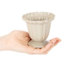 položky Dekorativní miska, krémová trofej, malá, 10 cm