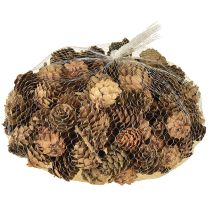 položky Přírodní dekorace z borových šišek v síťce 2,5-3,5 cm 300 g