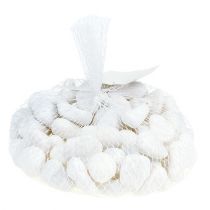 položky Oblázky do sítě Bílá 2,5cm - 4cm 1kg