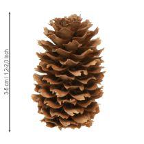 položky Malé dekorativní přírodní šišky z jedlovce adventní 3-4cm 100g