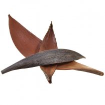 položky Kokosové skořápky kokosové listy přírodní sušené 22cm - 42cm 25ks